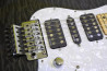 SCHECTER SD-2-24 Ash