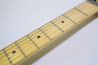 SCHECTER SD-2-24 Ash