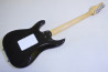 SCHECTER SD-2-24 Ash