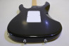 SCHECTER SD-2-24 Ash