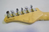 SCHECTER SD-2-24 Ash