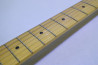 Fender Japan TL72-500