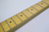 Fender American Standard Telecaster ASH