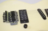 Aria Pro II RS Wildcat DX