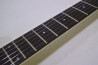 Aria Pro II RS Wildcat DX