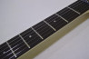 Aria Pro II RS Wildcat DX