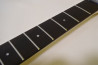 Aria Pro II RS Wildcat DX