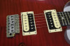 PRS SE Custom 24