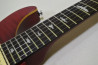 PRS SE Custom 24
