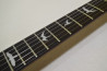 PRS SE Custom 24