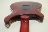 PRS SE Custom 24