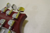 PRS SE Custom 24