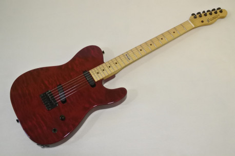 Edwards E-D-85 TE
