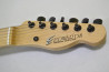 Edwards E-D-85 TE