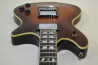 Schecter Tempest Custom