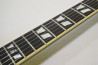 Schecter Tempest Custom