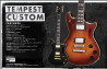 Schecter Tempest Custom