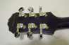 Epiphone Les Paul Standard