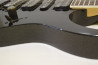 Ibanez Prestige RG2570E