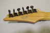 Ibanez Prestige RG2570E