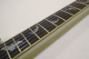 Schecter DAMIEN PLATINUM-6