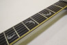 Schecter DAMIEN PLATINUM-6