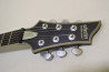 Schecter DAMIEN PLATINUM-6