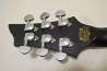 Schecter DAMIEN PLATINUM-6