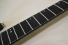 Schecter Blackjack SLS C-1