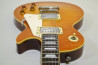 Grass Roots Les Paul Standard +Mod.