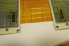 Grass Roots Les Paul Standard +Mod.