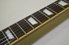 Grass Roots Les Paul Standard +Mod.