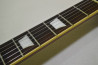 Grass Roots Les Paul Standard +Mod.