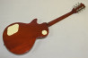 Grass Roots Les Paul Standard +Mod.