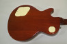 Grass Roots Les Paul Standard +Mod.