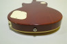 Grass Roots Les Paul Standard +Mod.