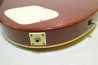 Grass Roots Les Paul Standard +Mod.