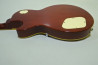 Grass Roots Les Paul Standard +Mod.