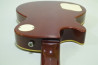 Grass Roots Les Paul Standard +Mod.