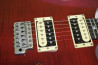 PRS SE Custom 24
