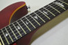 PRS SE Custom 24