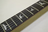 PRS SE Custom 24