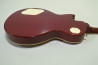 Grass Roots Les Paul Standard