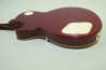 Grass Roots Les Paul Standard