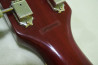 Grass Roots Les Paul Standard