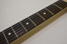 Fender American Professional Stratocaster.