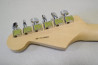 Fender American Professional Stratocaster.
