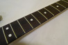 Fender American Professional Stratocaster.