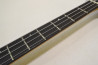 FGN (Fujigen) Expert EDR-4R