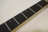 FGN (Fujigen) Expert EDR-4R